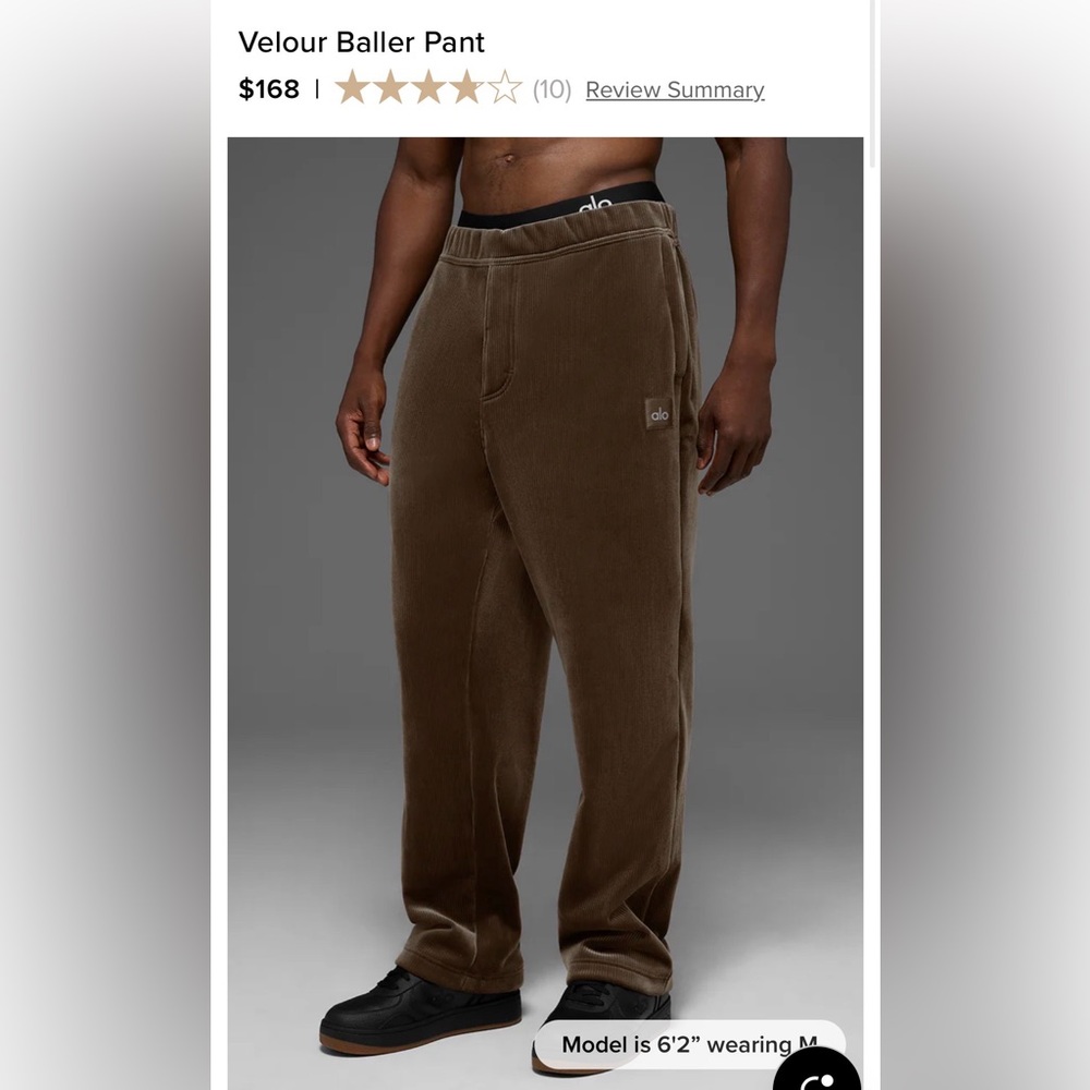 ALO Yoga Men's Velour Corduroy Pants in Brown